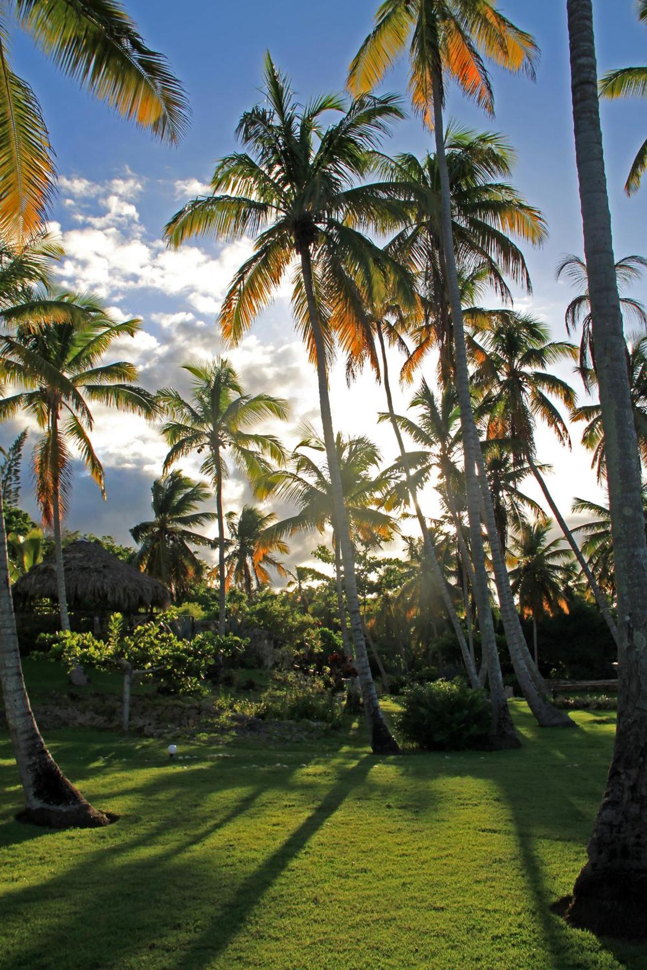 Hotel Todoblanco, Las Galeras, Samana 외부 사진