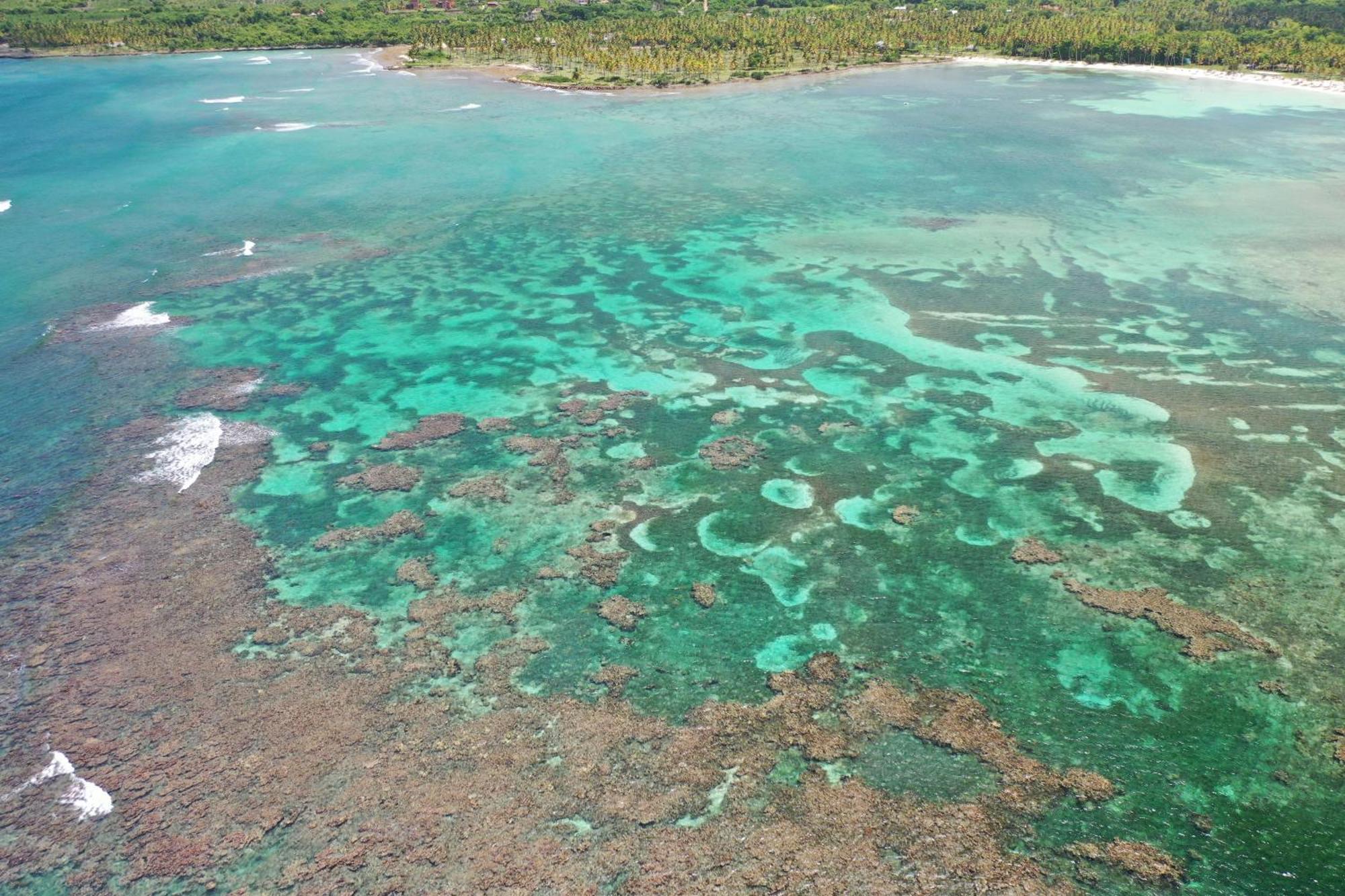 Hotel Todoblanco, Las Galeras, Samana 외부 사진